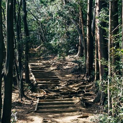 梦幻仙逆手游下载